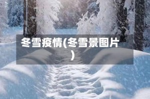 冬雪疫情(冬雪景图片)