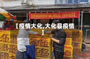 【疫情大化,大化县疫情】