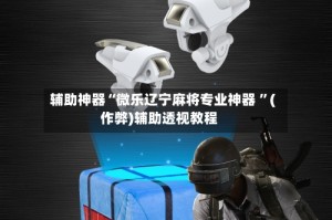 辅助神器“微乐辽宁麻将专业神器 ”(作弊)辅助透视教程