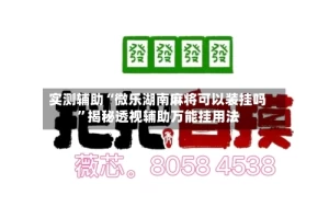实测辅助“微乐湖南麻将可以装挂吗”揭秘透视辅助万能挂用法