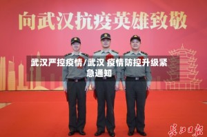 武汉严控疫情/武汉 疫情防控升级紧急通知
