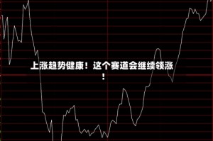 上涨趋势健康！这个赛道会继续领涨！