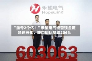 “血亏2个亿！”禾望电气经营现金流急速恶化，缺口同比暴增206%