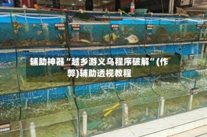 辅助神器“越乡游义乌程序破解”(作弊)辅助透视教程