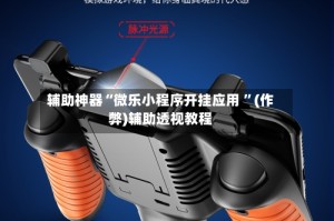 辅助神器“微乐小程序开挂应用 ”(作弊)辅助透视教程