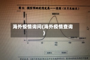 海外疫情询问(海外疫情查询)