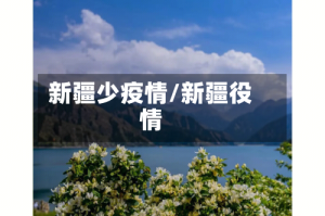 新疆少疫情/新疆役情