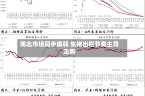 南北市场同步偏弱 生猪出栏节奏主导走势