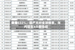 费用大涨650%，国产光纤全球爆单，年内诞生3只翻倍股