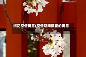 樱花疫情寓意(疫情期间樱花的寓意)