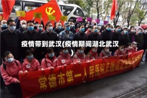 疫情带到武汉(疫情期间湖北武汉)