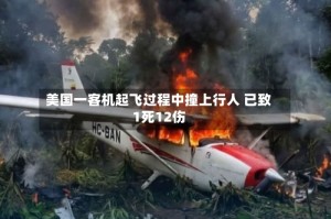 美国一客机起飞过程中撞上行人 已致1死12伤