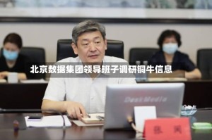 北京数据集团领导班子调研铜牛信息