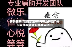 实测辅助“微乐安徽麻将专业神器”揭秘透视辅助万能挂用法