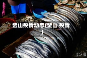 釜山疫情动态(釜山 疫情)