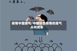 疫情中国底气/中国抗击疫情的底气从何而来