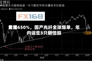 费用大涨650%，国产光纤全球爆单，年内诞生3只翻倍股