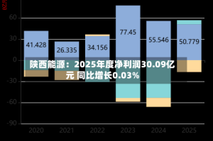 陕西能源：2025年度净利润30.09亿元 同比增长0.03%