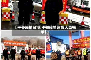 【平鲁疫情赌博,平鲁疫情赌博人员名单】