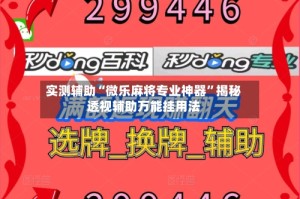 实测辅助“微乐麻将专业神器”揭秘透视辅助万能挂用法