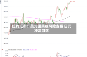 纽约汇市：美元因关税风险走强 日元冲高回落