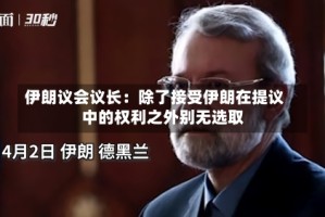 伊朗议会议长：除了接受伊朗在提议中的权利之外别无选取