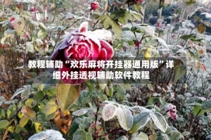 教程辅助“欢乐麻将开挂器通用版”详细外挂透视辅助软件教程