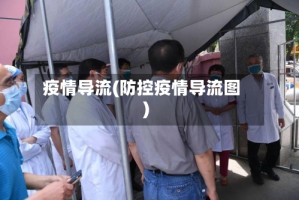 疫情导流(防控疫情导流图)