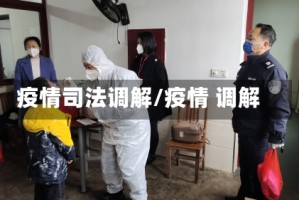 疫情司法调解/疫情 调解