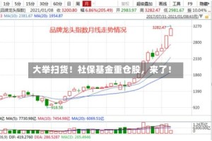 大举扫货！社保基金重仓股，来了！