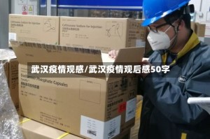 武汉疫情观感/武汉疫情观后感50字