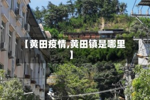 【黄田疫情,黄田镇是哪里】