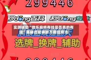 实测辅助“微乐麻将有挂是否真的有挂”揭秘透视辅助万能挂用法