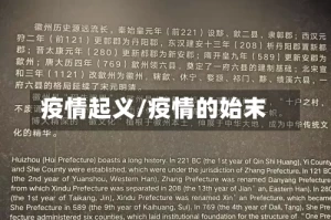 疫情起义/疫情的始末