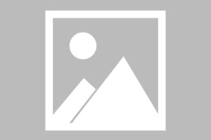 高砂疫情/高丘疫情怎么样?