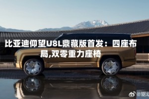 比亚迪仰望U8L鼎藏版首发：四座布局,双零重力座椅