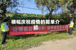 横幅庆祝疫情的简单介绍