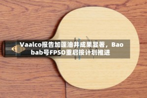 Vaalco报告加蓬油井成果显著，Baobab号FPSO重启按计划推进