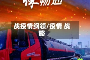 战疫情纲领/疫情 战略