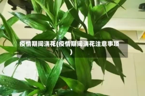 疫情期间浇花(疫情期间浇花注意事项)