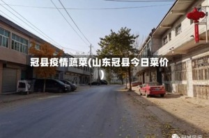 冠县疫情蔬菜(山东冠县今日菜价)