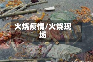 火烧疫情/火烧现场