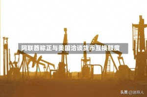 阿联酋称正与美国洽谈货币互换额度