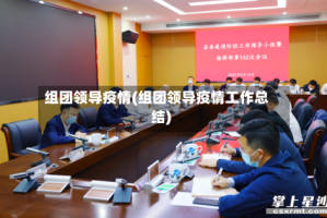组团领导疫情(组团领导疫情工作总结)