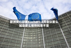 欧洲央行管委Kocher：6月会议要么加息要么维持利率不变