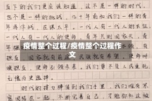 疫情整个过程/疫情整个过程作文
