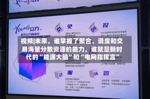 视频|未来，谁掌握了聚合、调度和交易海量分散资源的能力，谁就是新时代的“能源大脑”和“电网指挥言”
