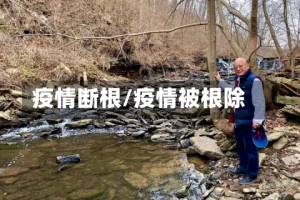 疫情断根/疫情被根除