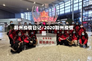 荆州疫情日记/2020荆州疫情图