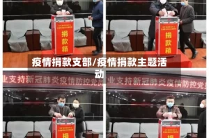 疫情捐款支部/疫情捐款主题活动